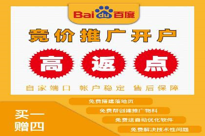 百度SEM推广实战：某品牌迅速崛起